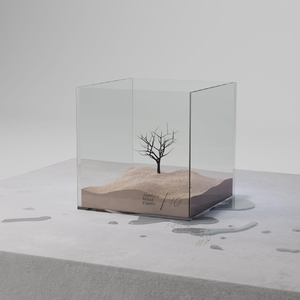 中文字幕无码第一页se01
