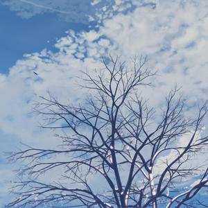 中文字幕无码第一页se01
