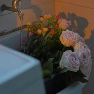 中文字幕无码第一页se01
